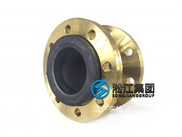 黃銅法蘭橡膠接頭